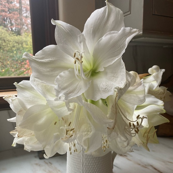 Meet your Posher, Kelly - Picture 1 of 1